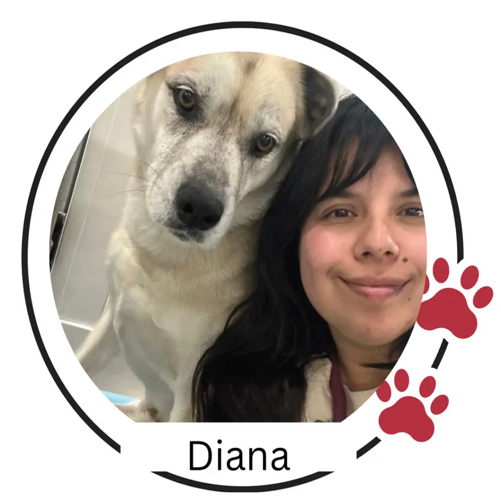 Doggin Around Daycare Staff