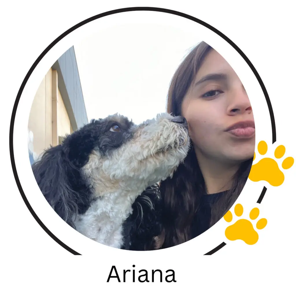 Doggin Around Daycare Staff