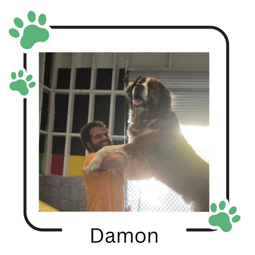 Doggin Around Daycare Staff