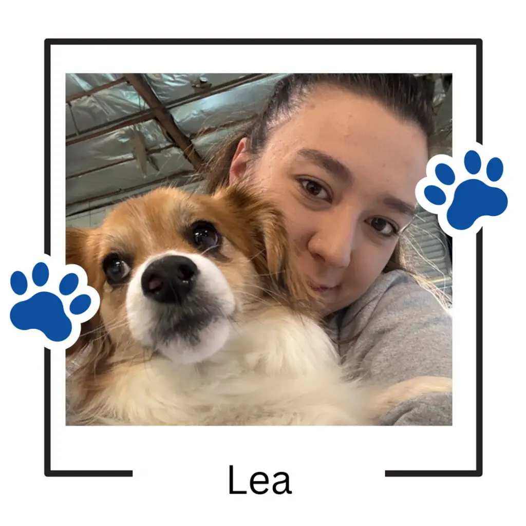 Doggin Around Daycare Staff