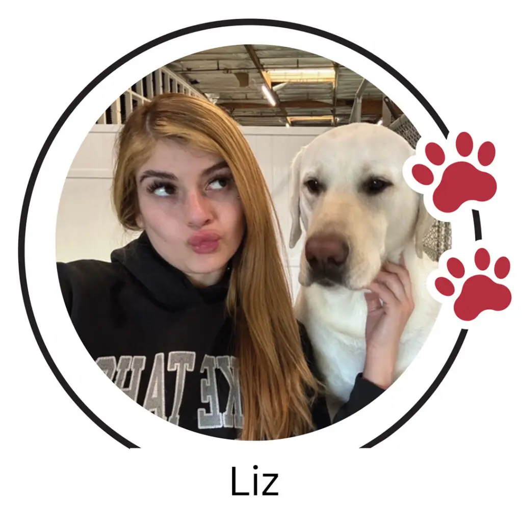 Doggin Around Daycare Staff