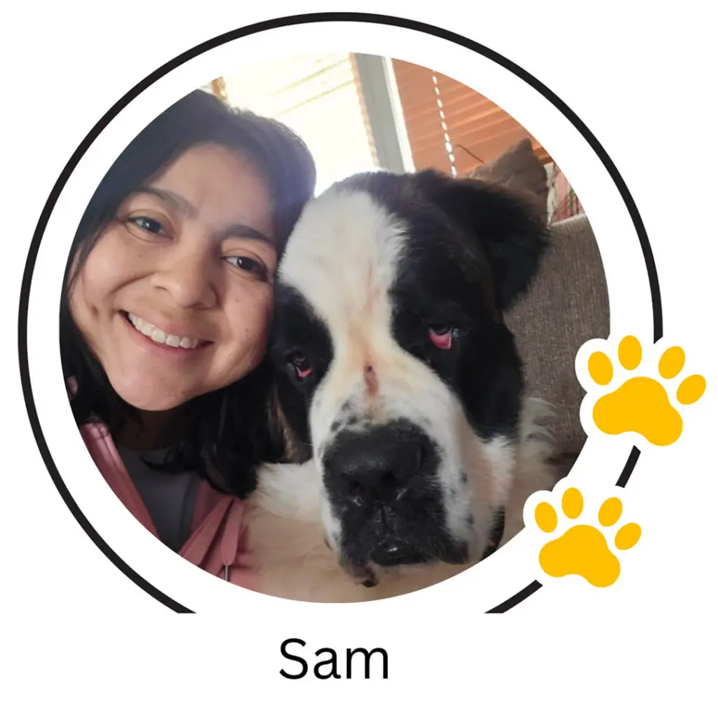 Doggin Around Daycare Staff