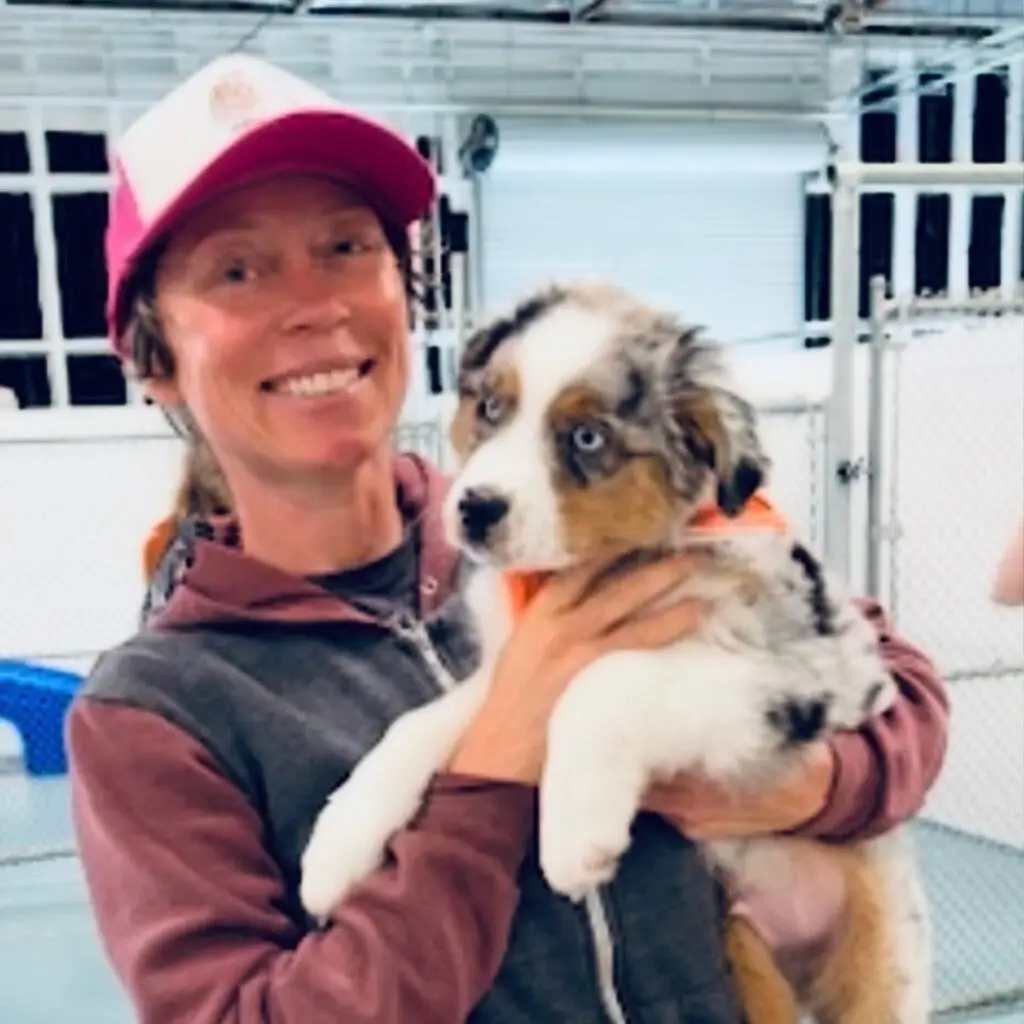 Doggin Around Daycare Puppy Socialization
