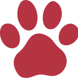 Doggin Around Daycare red paw icon