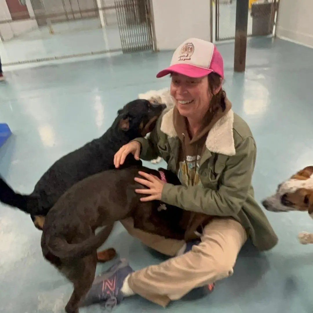 Doggin Around Daycare Puppy Socialization