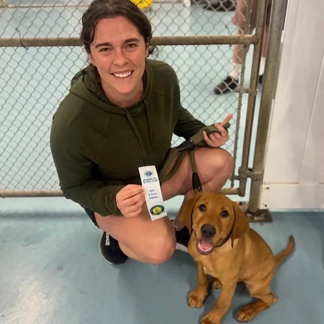 Doggin Around Daycare Puppy Socialization